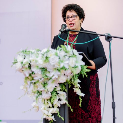 50411410_1217864941696554_7459613660571238400_n